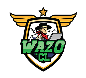 WAZO.CL - Consultores de Tecnologia - Soluciones para Comerciantes. punto de venta