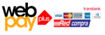 Medios de pago electrónicos con WebPay Plus, RedCompra y tarjetas bancarias en Chile